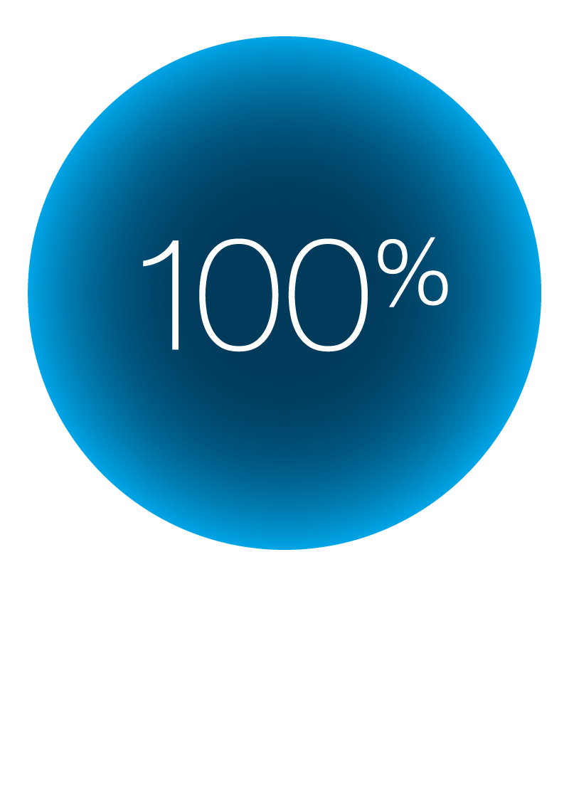 Icons_100_French.png