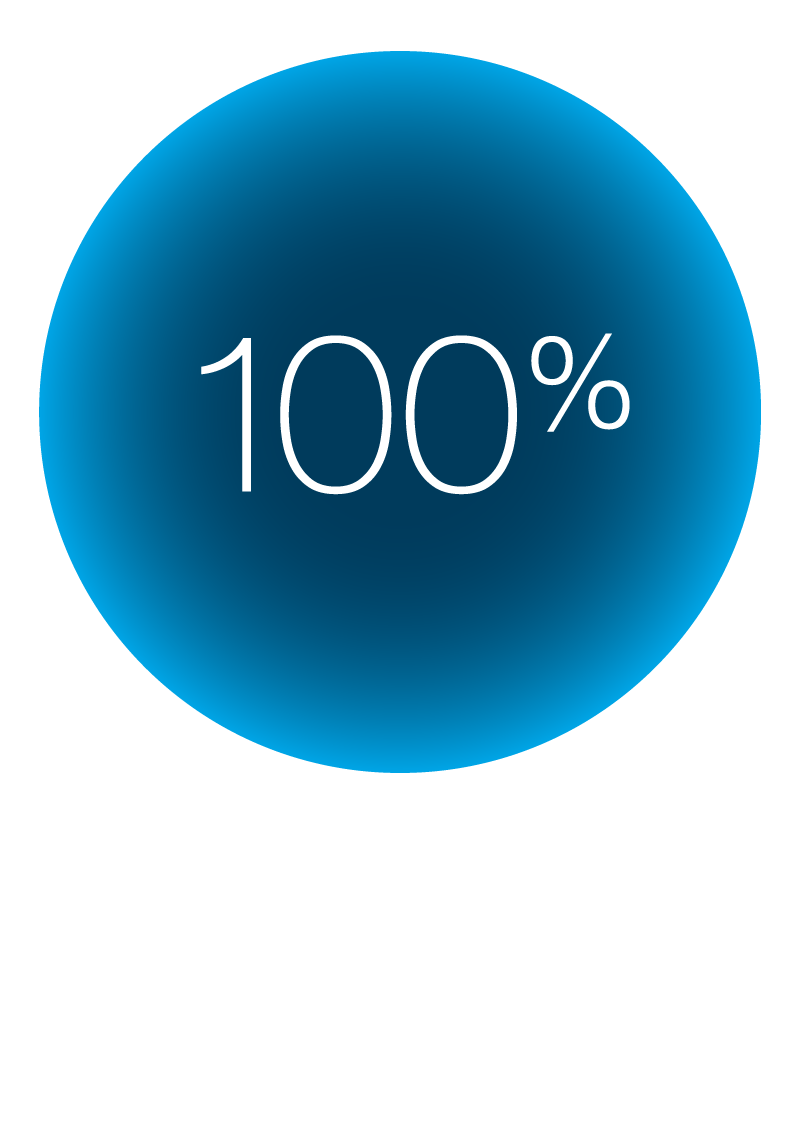 Icons_100_German.png