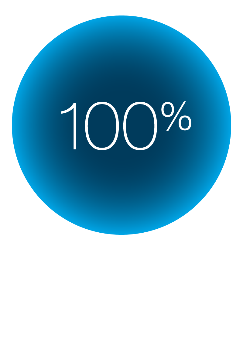 icon-Romanian-100.png