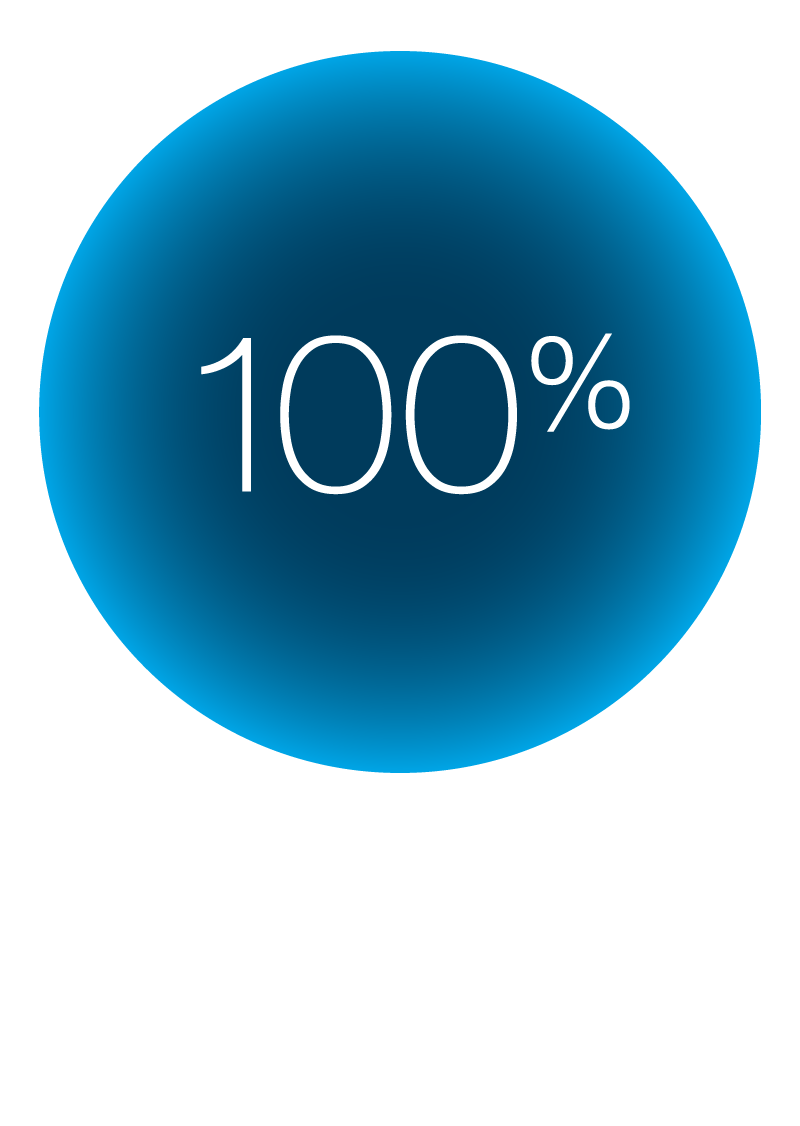 icon-Turkish-100.png